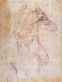 Study of a male nude von Michelangelo Buonarroti