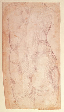 Study of the back of a nude figure by Michelangelo Buonarroti