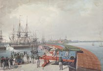View of Revel, the harbour and the Russian coast artillery by Johann Gau
