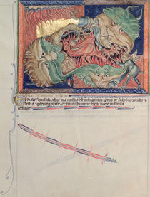 Ms L.A. 139-Lisboa fol.71 The jaws of Hell swallowing the red dragon by English School