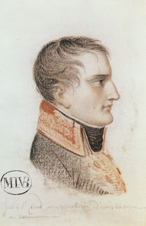 Bonaparte , First Consul, study for 'Entry of Bonaparte by Mathieu Ignace van Bree