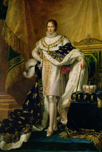 Joseph Bonaparte after 1808 von Francois Pascal Simon, Baron Gerard