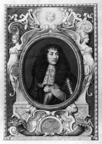 Medallion Portrait of Louis XIV von Nicolas Robert