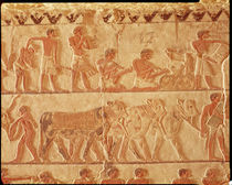 Painted relief depicting the posting of taxes and a group of cattle by Egyptian 5th Dynasty