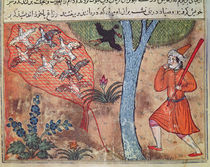 Hunting Birds, from 'The Book of Kalila and Dimna' von Islamic School