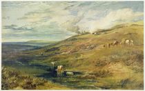 Dartmoor: The Source of the Tamar and the Torridge by Joseph Mallord William Turner