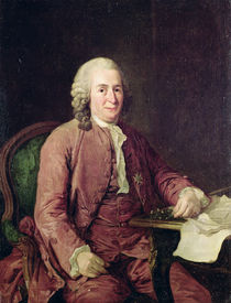 Portrait of Carl von Linnaeus by Alexander Roslin