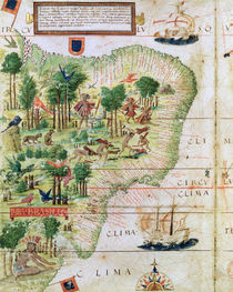 Brazil from the 'Miller Atlas' by Pedro Reinel von Portuguese School