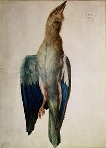 Blue Crow, 1512 by Albrecht Dürer