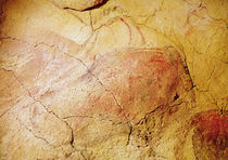 Bison, from the Caves at Altamira by Prehistoric