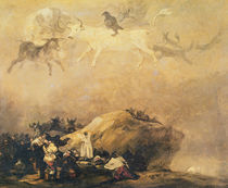 Capriccio Scene: Animals in the Sky von Francisco Jose de Goya y Lucientes
