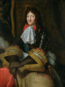 Louis XIV by French School