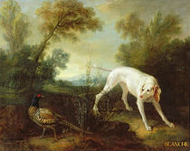 Blanche, Bitch of the Royal Hunting Pack by Jean-Baptiste Oudry