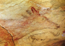 Stag from the Caves of Altamira von Prehistoric