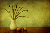 Asparagus and Potatoes by Priska  Wettstein