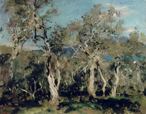 Olives, Corfu, 1912 by John Singer Sargent