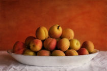 Apricots Delight by Priska  Wettstein