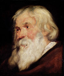 Head of an Old Man von Peter Paul Rubens