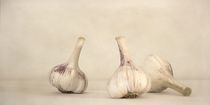 Fresh Garlic by Priska  Wettstein