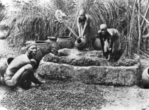 Making palm oil in Dahomey by French Photographer
