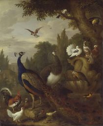 Peacock, peahen, parrots, canary by Jakob Bogdani or Bogdany