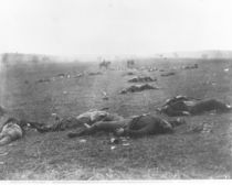 The Harvest of Death, Gettysburg von Timothy O'Sullivan