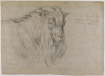 Study of the Head of a Ram by James Ward