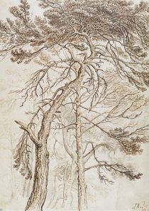 Study of Trees von James Ward