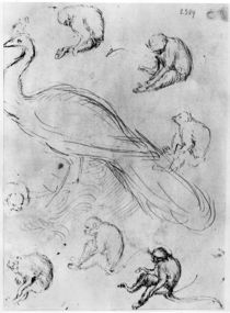 Peacock and Six Monkeys, from The Vallardi Album von Antonio Pisanello