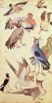 Ten Birds by Indian School