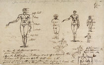 Studies of anatomy with measurements and writing by James Ward