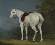 A Lady's Grey Hunter, c.1806 by Jacques Laurent Agasse