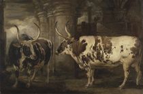 Portraits of two extraordinary oxen by James Ward