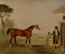 'Sultan' at the Marquess of Exeter's Stud by Lambert Marshall