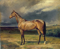 'Abdul Medschid' the chestnut arab horse by Carl Constantin Steffeck