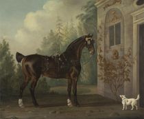 Lord Abergavenny's Dark Bay Carriage Horse with a Terrier by Thomas Gooch
