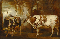 Portraits of two extraordinary oxen by James Ward