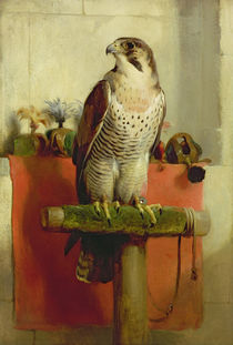 Falcon, 1837 by Edwin Landseer