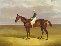'Margrave' with James Robinson Up by John Frederick Herring Snr