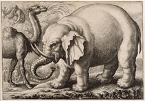 An Elephant and a Camel, engraved by Wenceslaus Hollar 1663 by Francis Barlow