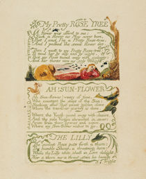 'My Pretty Rose Tree,' and 'Ah! Sun-flower by William Blake