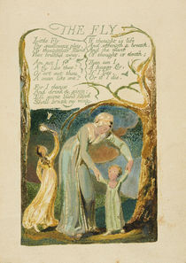 'The Fly,' plate 47 from 'Songs of Experience by William Blake