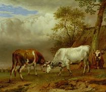 Two Bulls with Locked Horns by Paulus Potter