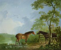 Mare and Stallion in a Landscape von Sawrey Gilpin