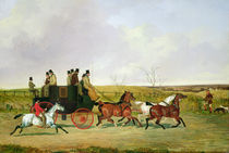 Horse and Carriage by David of York Dalby