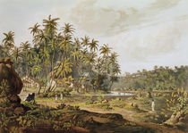 View near Point du Galle, Ceylon von Henry Salt