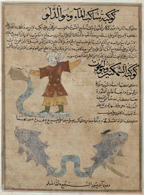 Ms E-7 fol.25a Aquarius and Pisces by Islamic School