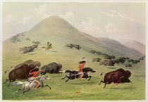 The Buffalo Hunt, c.1832 von George Catlin
