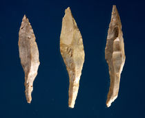 Three arrow heads by Prehistoric