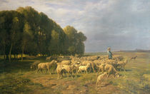 Flock of Sheep in a Landscape von Charles Emile Jacque